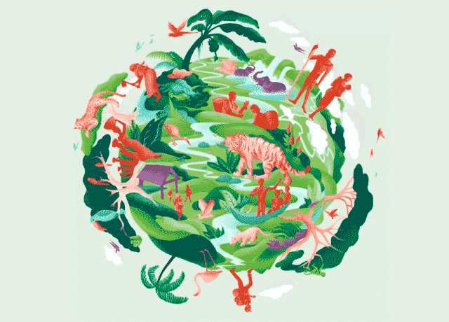 Illustration et Motion pour Rainforest Alliance