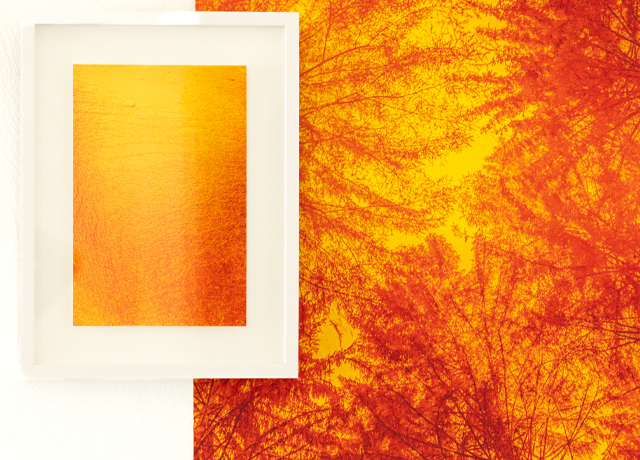 Maude Girard - Portfolio